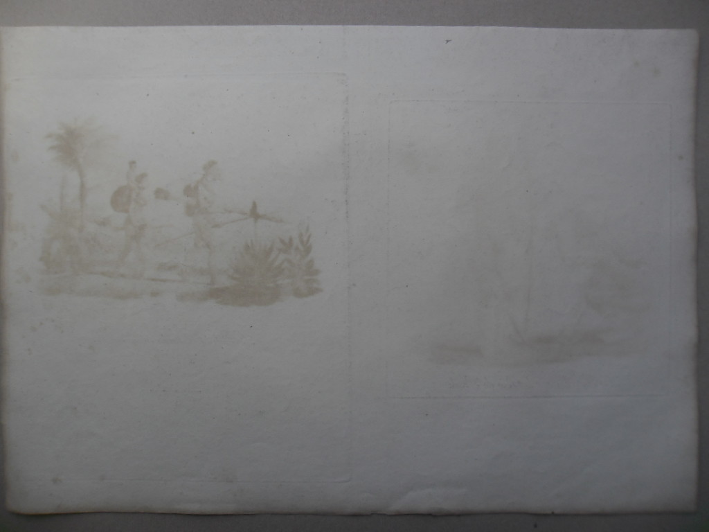 Voyage au Brésil, dans les années. Maximilian Alexander Philipp.