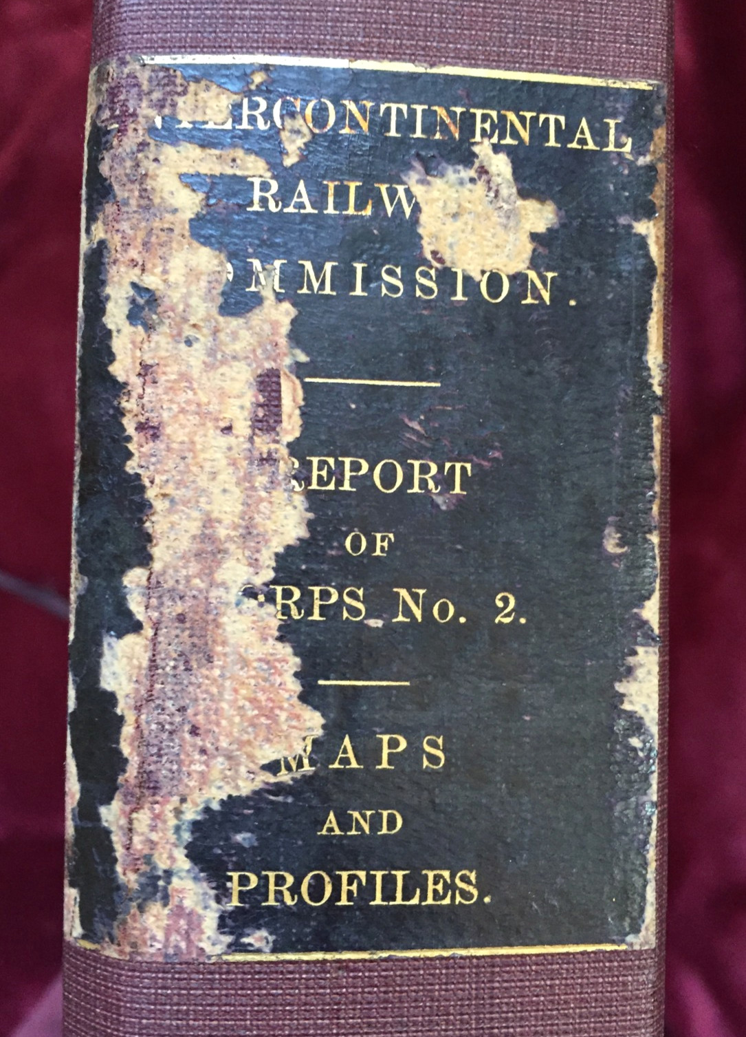 1895 INTERCONTINENTAL RAILWAY SURVEY – Over 100 MAPS & Profiles – South America