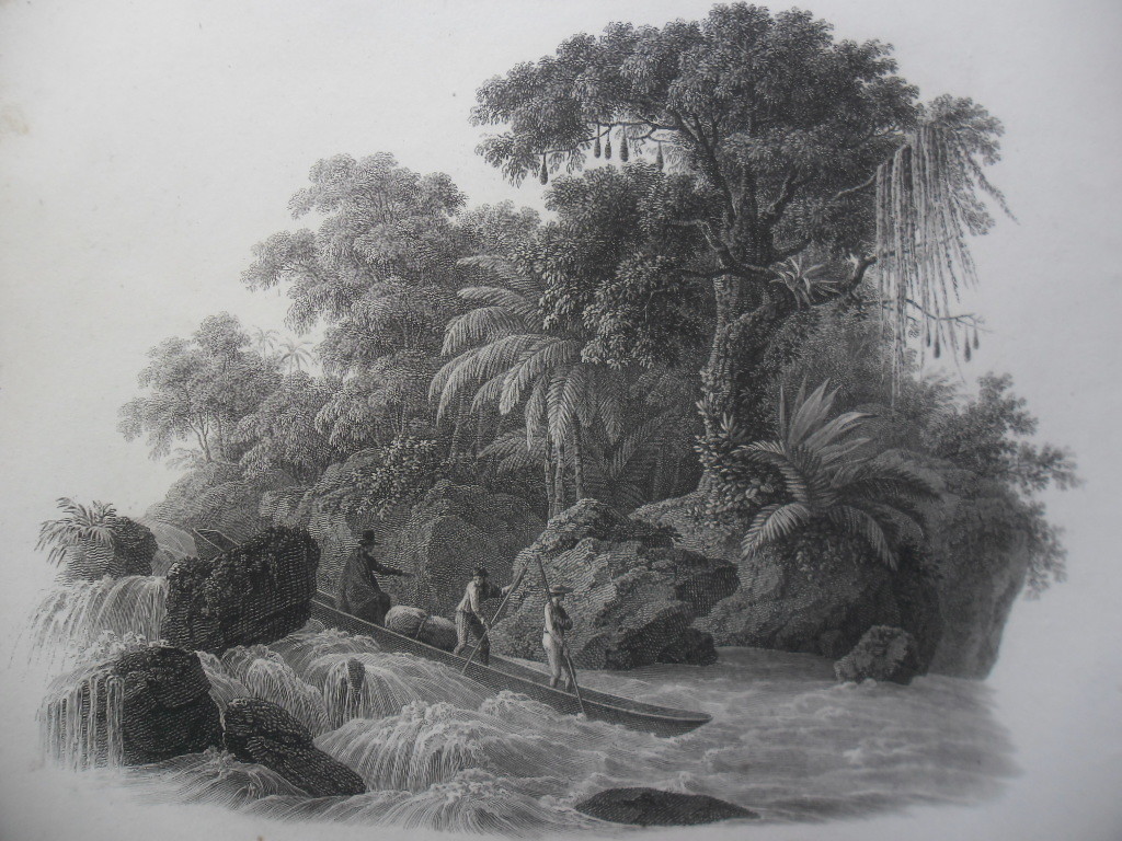 Brasil, Maximilian Alexander Philipp