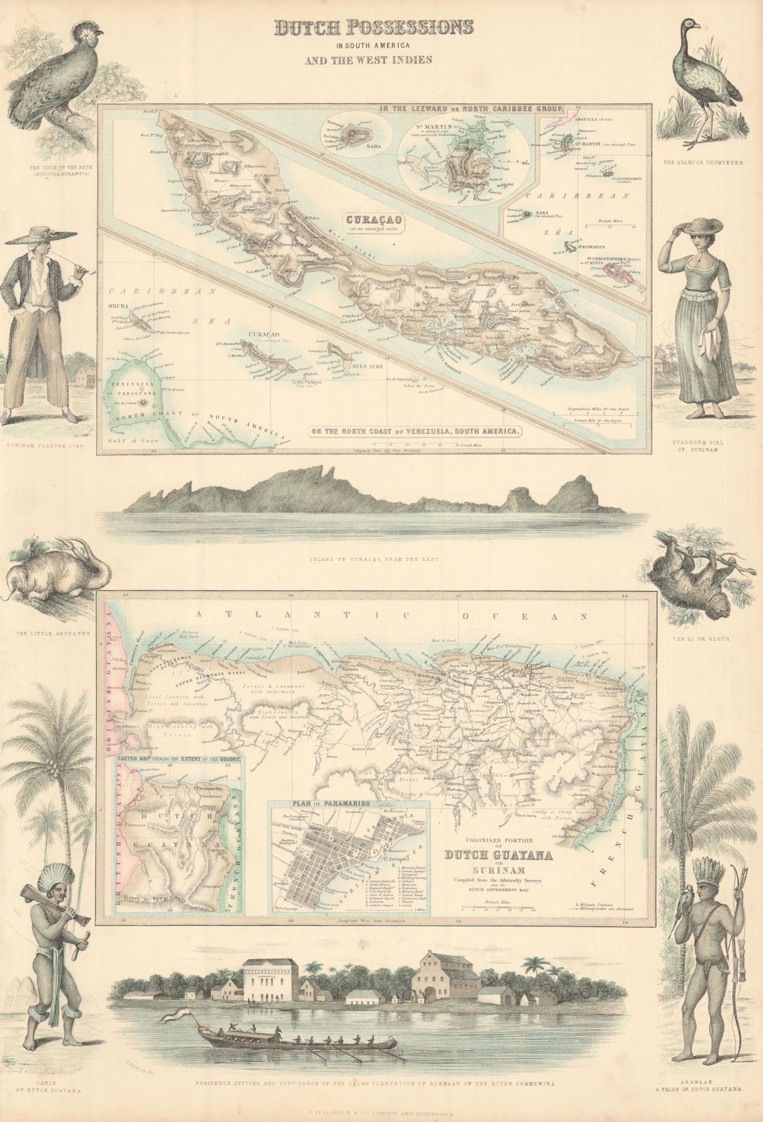 Dutch West Indies & South America. Cura�ao Guyana Surinam St. Martin c1863 map