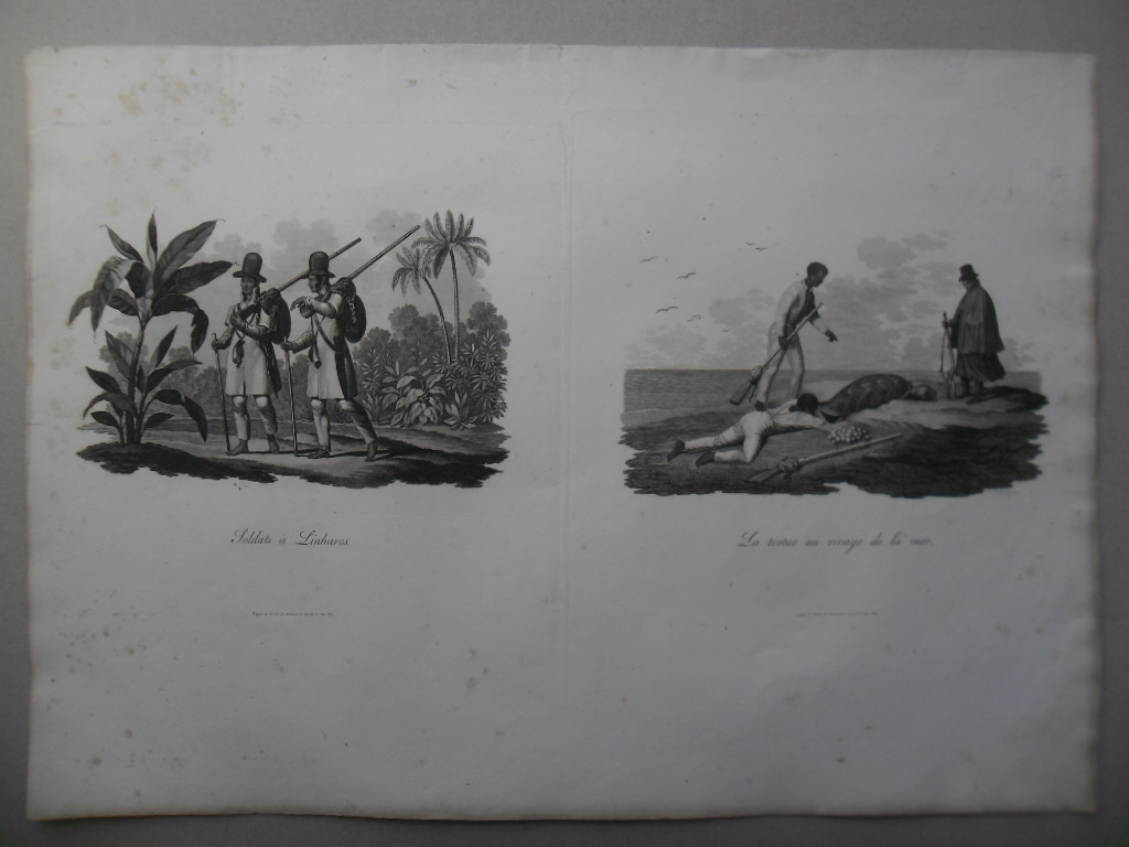 Brasil, Maximilian Alexander Philipp. Voyage au Brésil, dans les années