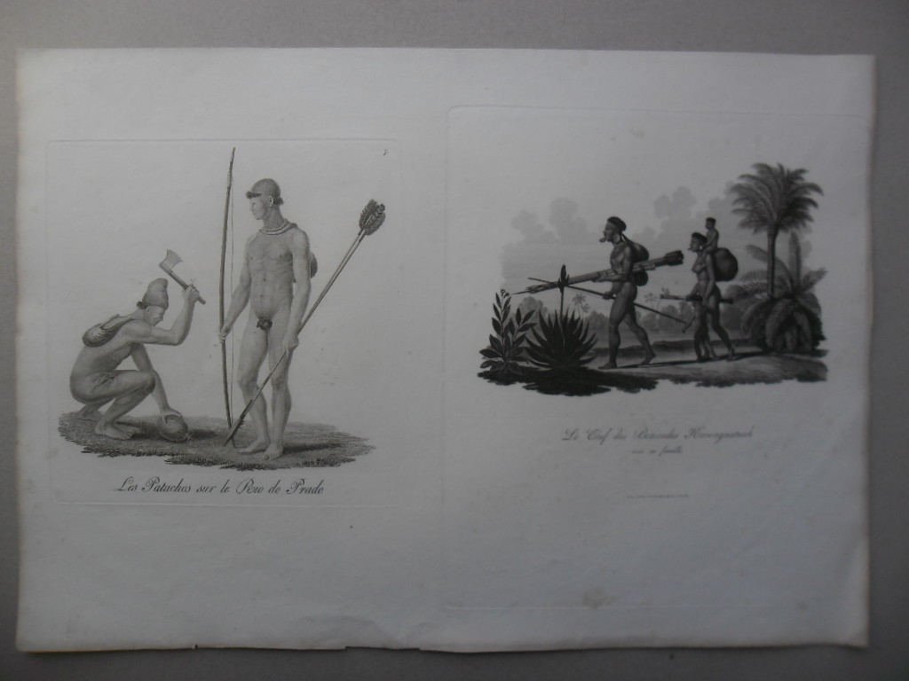 Voyage au Brésil, dans les années. Maximilian Alexander Philipp.