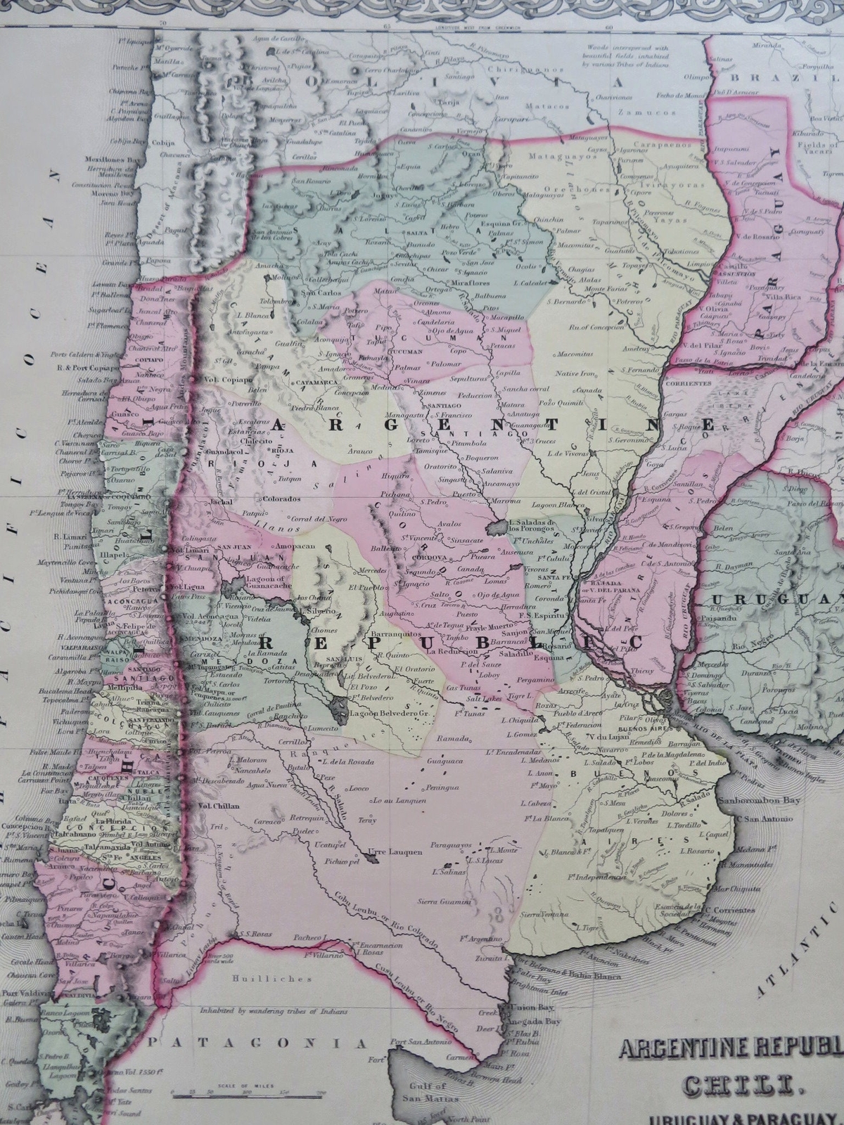 Argentina La Plata Chile Uruguay Paraguay 1855 Colton decorative map