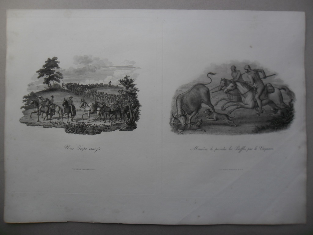 Brasil WIED-NEUWIED, Maximilian Alexander Philipp Paris 1820-21